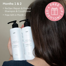 Load image into Gallery viewer, Re:Gen Color Repair & Protect System