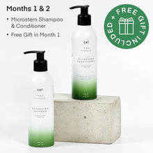 Load image into Gallery viewer, Microstem Hair Thickening System