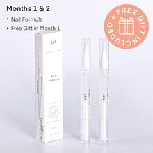 Load image into Gallery viewer, Nail Repair System