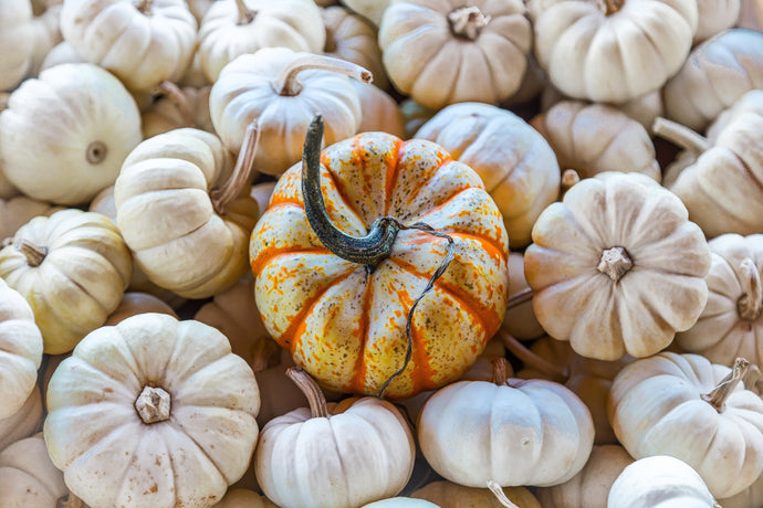 How To Help Your Hair Grow With Pumpkin