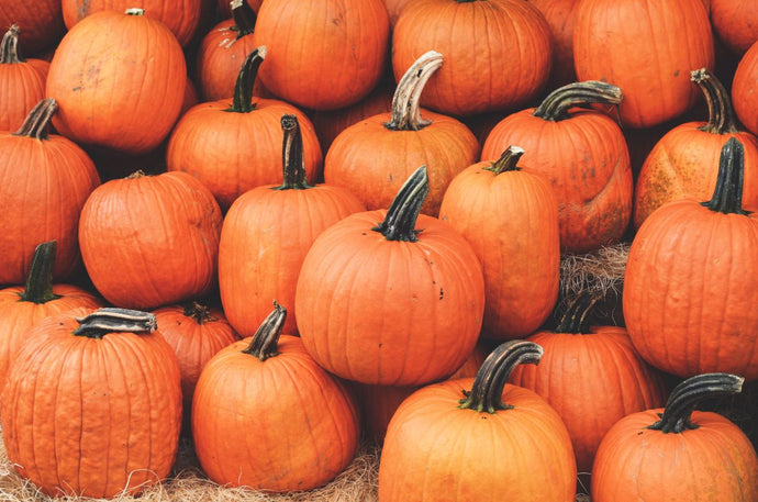 The Beauty Treatments & Benefits Of Pumpkin