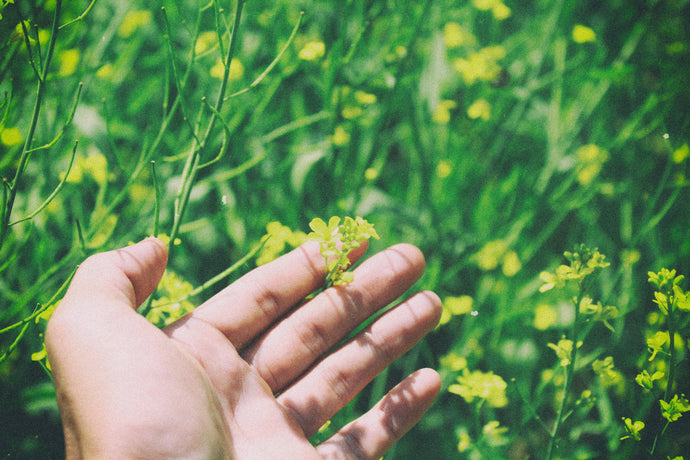 4 Ways To Nourish & Protect Your Hands