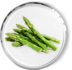 ASPARAGUS & PANAX GINSENG STEM EXTRACT